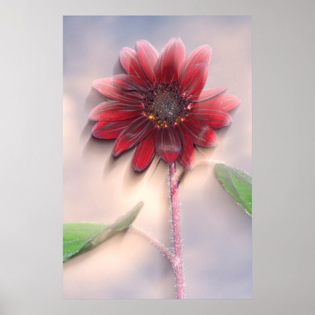 Hybrid sunflower blowing in the wind poster (Front)