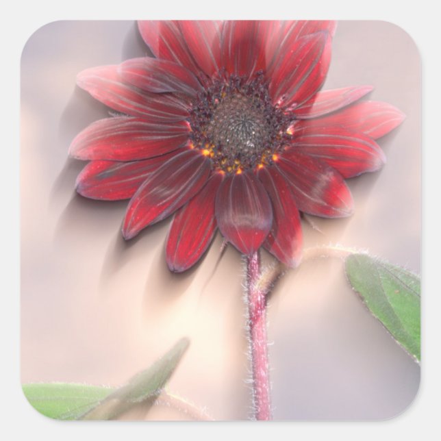 Hybrid sunflower blowing in the wind square sticker (Front)