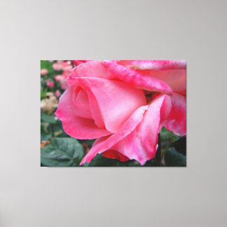 Hybrid Tea Rose Barbara Bush On Canvas