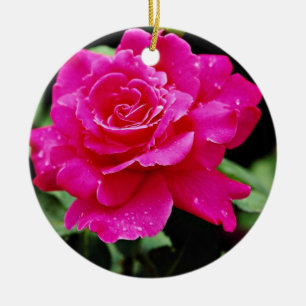 Hybrid Tea Rose 'Pink Peace' White flowers Ceramic Tree Decoration