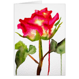 Hybrid Tea Rose watercolor modern flower art