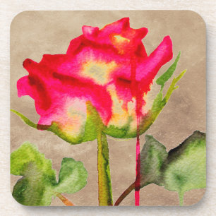 Hybrid Tea Rose watercolour modern flower art Coaster