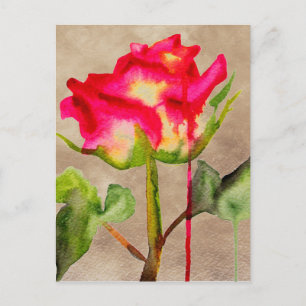 Hybrid Tea Rose watercolour modern flower art Postcard