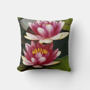 Hybrid water lilies cushion