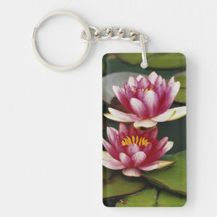 Hybrid water lilies key ring