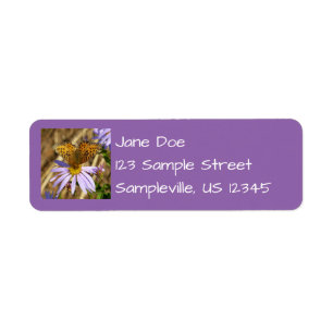 Hydaspe Fritillary on Purple Aster Flowers