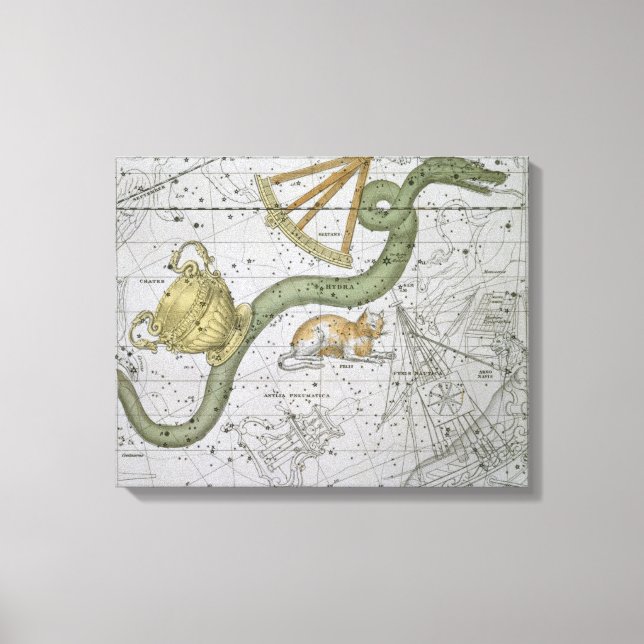 Hydra, from 'A Celestial Atlas', pub. in 1822 (col Canvas Print (Front)