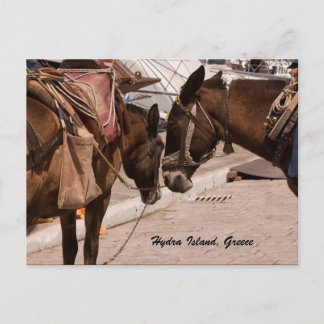 Hydra Island, Greece Postcard