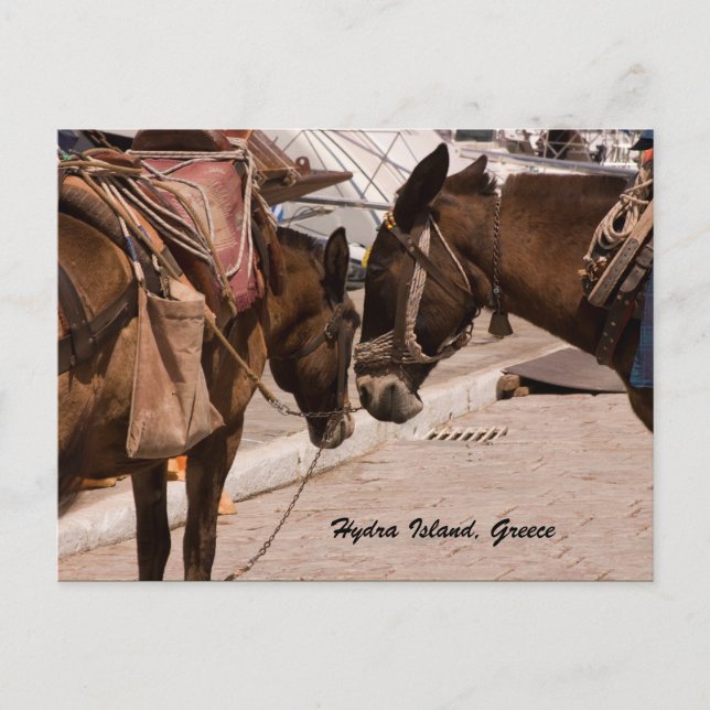 Hydra Island, Greece Postcard (Front)