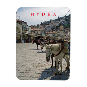 Hydra island horses view fridge magnet
