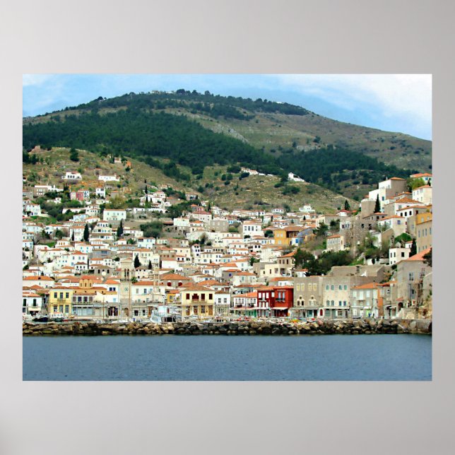 Hydra Poster (Front)