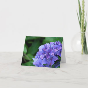 Hydrangea 6893 card