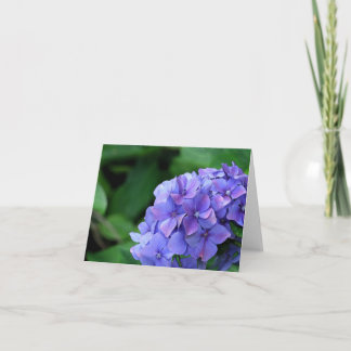 Hydrangea 6893 card