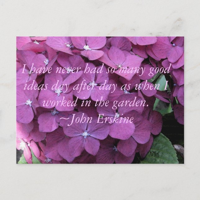 Hydrangea and Gardening Quote Postcard (Front)