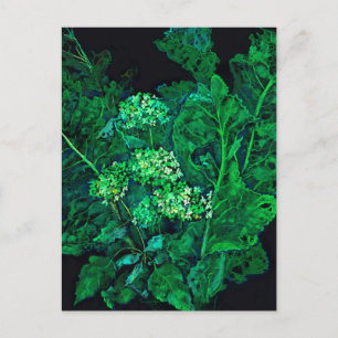 Hydrangea and Horseradish Floral Art Black & Green Holiday Postcard