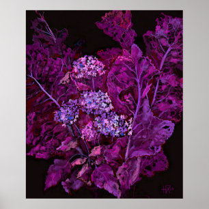 Hydrangea and Horseradish Floral Art Black Purple  Poster
