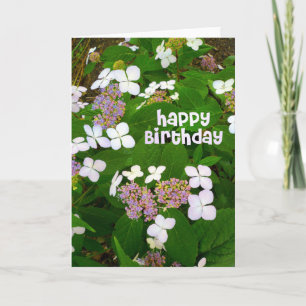 Hydrangea Aspera Birthday Card