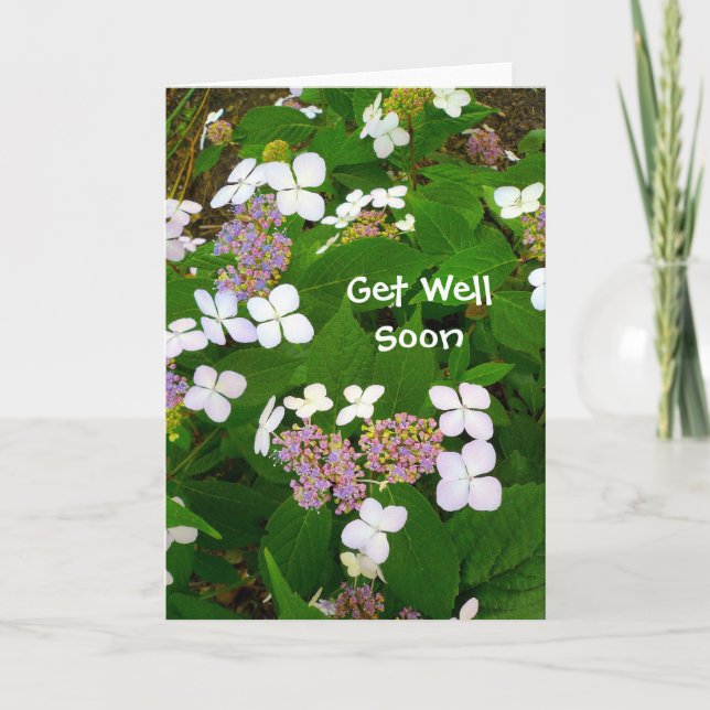 Hydrangea Aspera - Get Well Soon Card (Front)