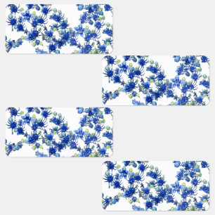 Hydrangea (BGC transparent)