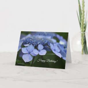 Hydrangea Birthday Card