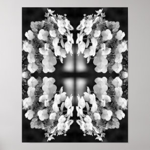 Hydrangea Black And White Mirror Abstract    Poster