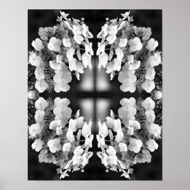 Hydrangea Black And White Mirror Floral Art Poster (Front)