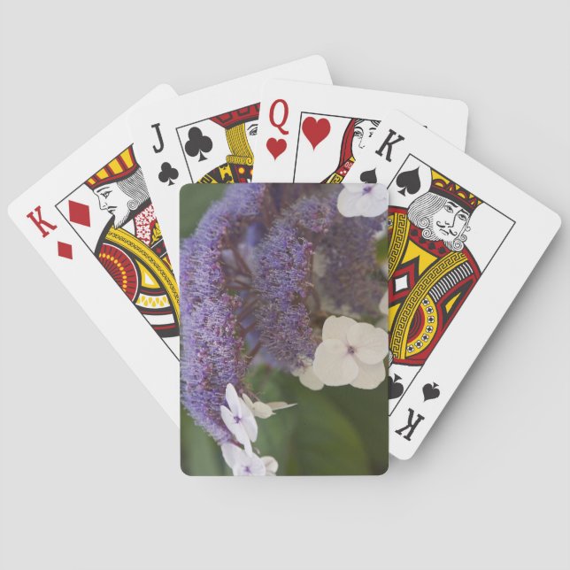 Hydrangea bloom, Dr. Sun Yat-Sen Chinese garden Playing Cards (Back)