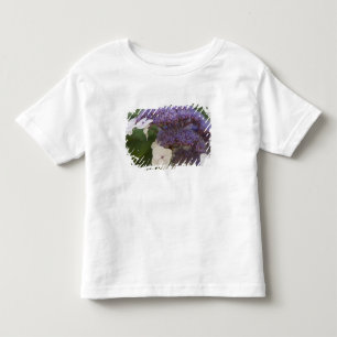 Hydrangea bloom, Dr. Sun Yat-Sen Chinese garden Toddler T-Shirt