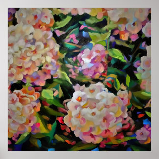 Hydrangea Blossom Poster