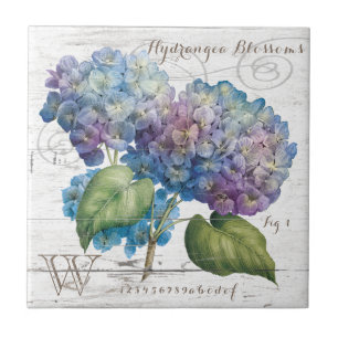 Hydrangea Blossoms Monogram Tile