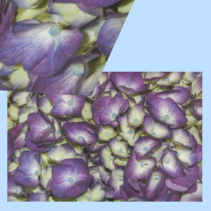 Hydrangea Botanical Purple Floral Photographic Tissue Paper