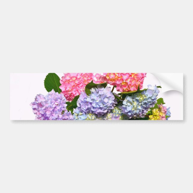 Hydrangea Bouquet Bumper Sticker (Front)
