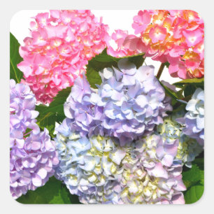 Hydrangea Bouquet Square Sticker