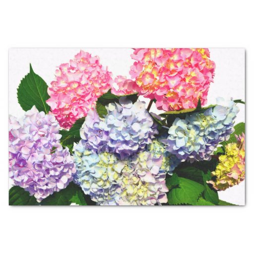 Image of Hydrangea Bouquet Tissue Paper
