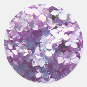 Hydrangea Classic Round Sticker