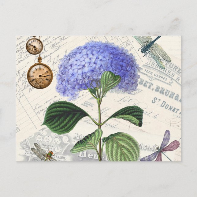 Hydrangea Collage Postcard (Front)