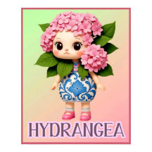 HYDRANGEA DOLL