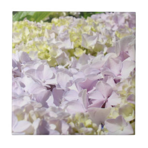 Hydrangea Flower Petals Tile Decorative Art