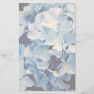 Hydrangea Flower Stationery