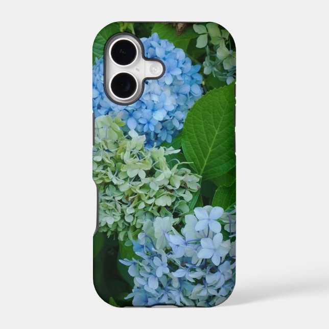 Hydrangea Flowers (Back)