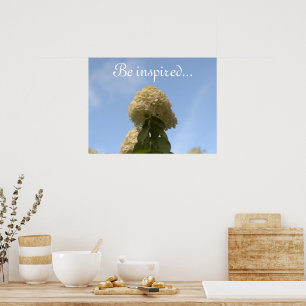 Hydrangea Flowers Blue Sky Poster