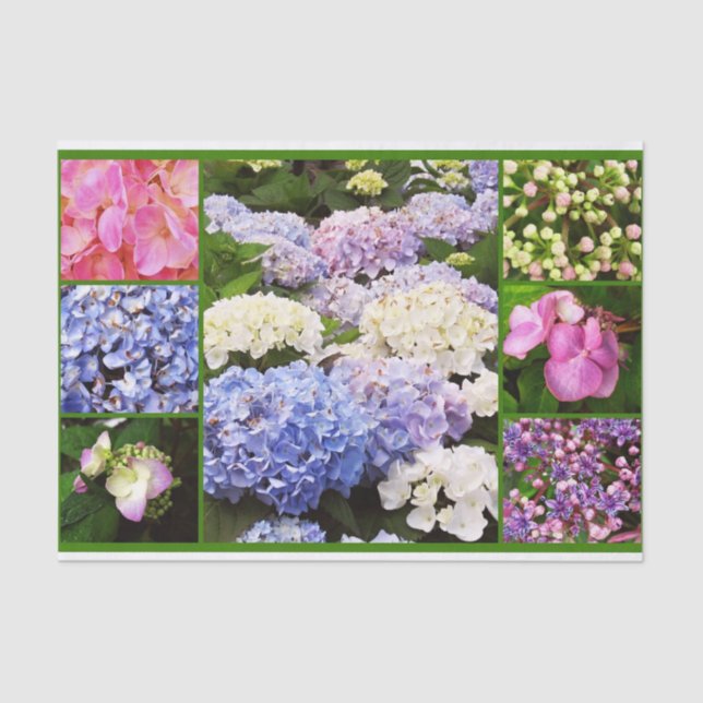 Hydrangea Flowers Collage-TISSUE WRAPPING PAPER (Front)