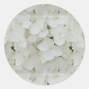 Hydrangea Flowers Floral White Elegant Blossom Classic Round Sticker