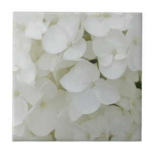 Hydrangea Flowers Floral White Elegant Blossom Tile
