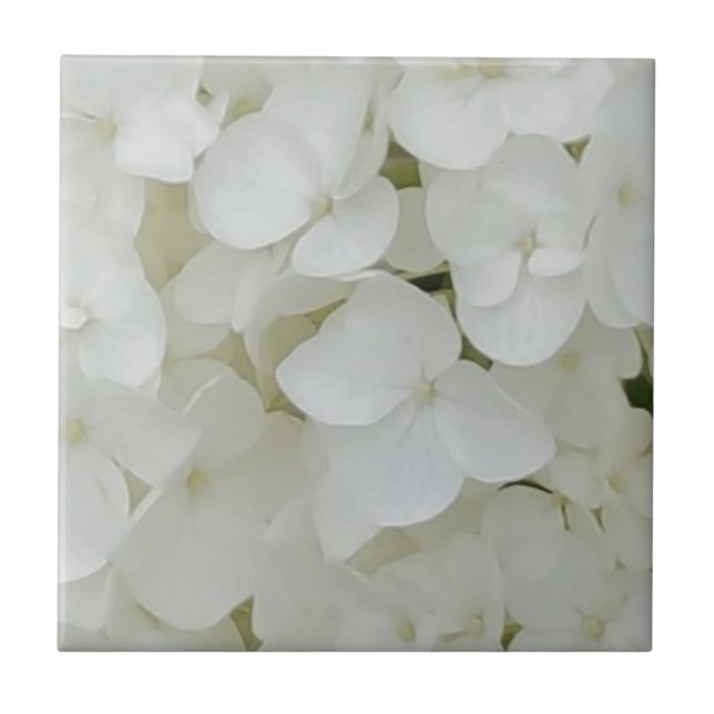 Hydrangea Flowers Floral White Elegant Blossom Tile (Front)