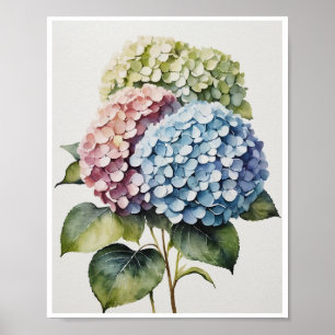 Hydrangea Flowers Handmade Poster Water colour