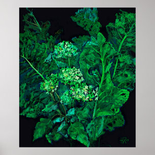 Hydrangea Flowers & Horseradish Floral Black Green Poster