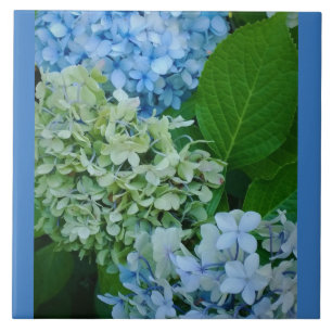 Hydrangea Flowers Tile