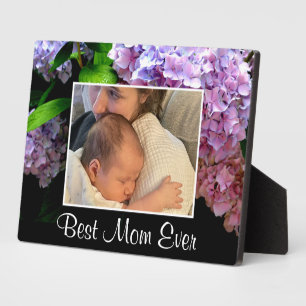 Hydrangea garden pink blue purple floral Best Mum Plaque