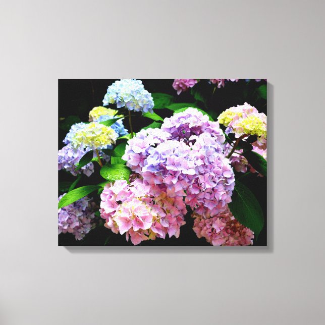 Hydrangea garden, pink, blue, purple floral canvas print (Front)